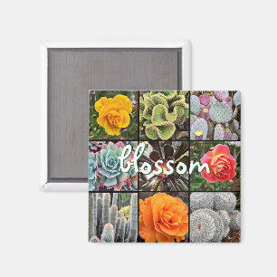 Rose Blume Cacti Foto Collage Blossom Skript Magnet