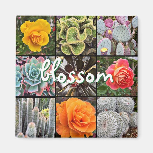Rose Blume Cacti Foto Collage Blossom Skript Magnet (Vorne)