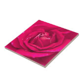 Rose Blume Fliese (Seite)