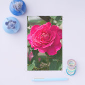 Rose Blume Flyer (Einzeln)