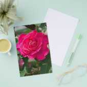 Rose Blume Flyer (Vorderseite & Rückseite)