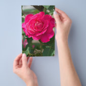 Rose Blume Flyer (Handgriff)