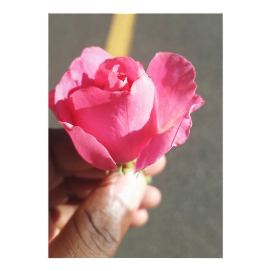 Rose Blume Foto Erweiterung (Vorne)