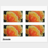 Rose Blume in Blüten / Orange / Umschlag Aufkleber (Blatt)