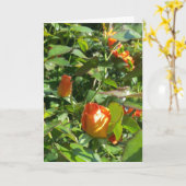 Rose Blume Karte (Gelbe Blume)