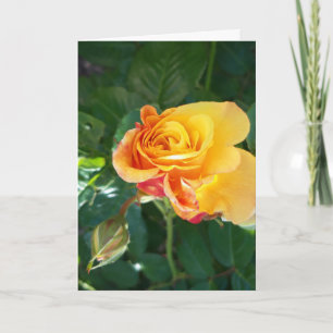 Rose-Blume-Karte Karte
