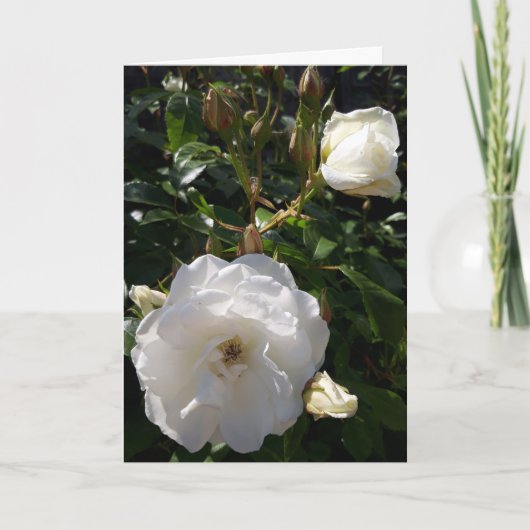 Rose-Blume-Karte Karte (Vorderseite)