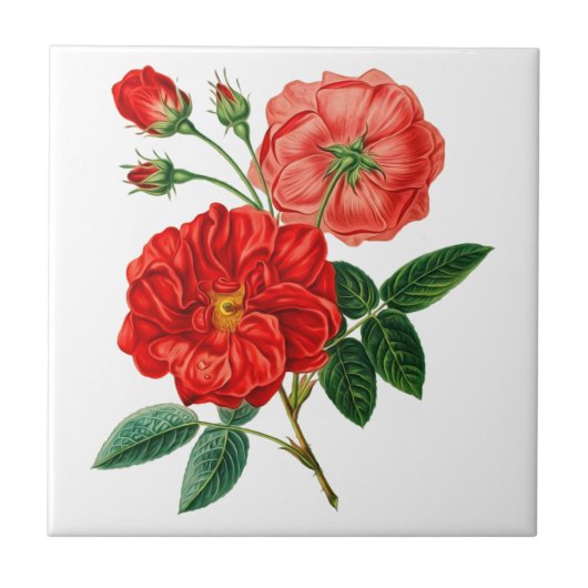 Rose Blume Keramik Tile Fliese (Vorderseite)