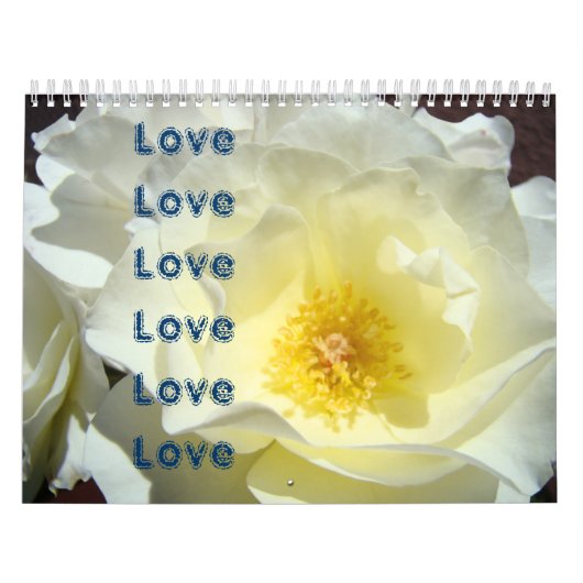 Rose-Blume Liebe-Liebe-Liebe Kalender (Titelbild)
