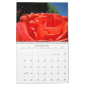 Rose-Blume Liebe-Liebe-Liebe Kalender (Jan 2027)