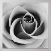 Rose Blume Nah Schwarz-Weiß-Fotografie Poster (Vorne)
