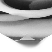 Rose Blume Nah Schwarz-Weiß-Fotografie Poster (Ecke)