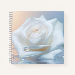 Rose Blume Petal Nature Ruhe Notizblock