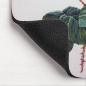 Rose Blume, Pierre Joseph Redouté Mousepad (Ecke)