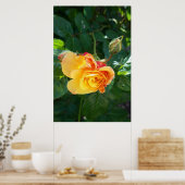 Rose Blume Poster (Küche)