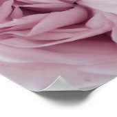 Rose | BLUME Poster (Ecke)