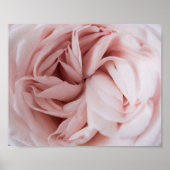 Rose | BLUME Poster (Vorne)