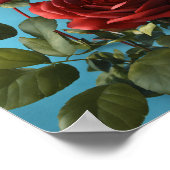 Rose Blume Poster (Ecke)