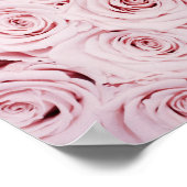 Rose | BLUME Poster (Ecke)