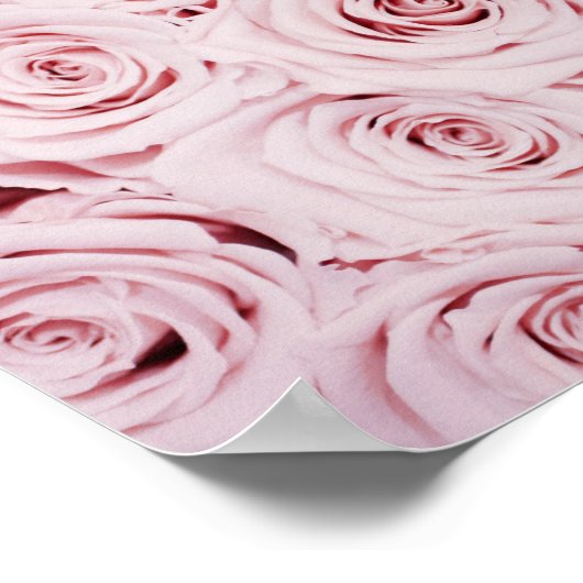 Rose | BLUME Poster (Ecke)