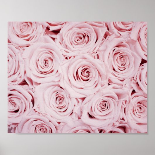 Rose | BLUME Poster (Vorne)