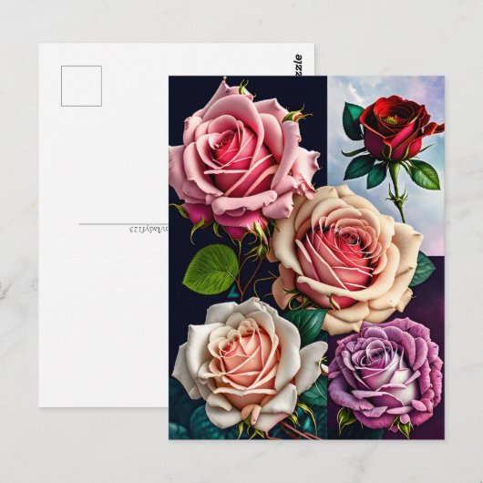 Rose, Blume, Postübergänge Postkarte (Vorne/Hinten)