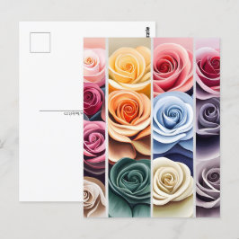 Rose, Blume, Postübergänge Postkarte