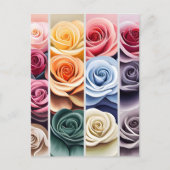 Rose, Blume, Postübergänge Postkarte (Vorderseite)