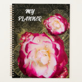 Rose, Blume, Rosa 1 Planer (Vorderseite)