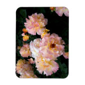 Rose Blume, rosa Gelbe Rosen Magnet (Vertikal)