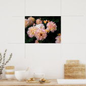 Rose Blume, rosa Gelbe Rosen Poster (Küche)