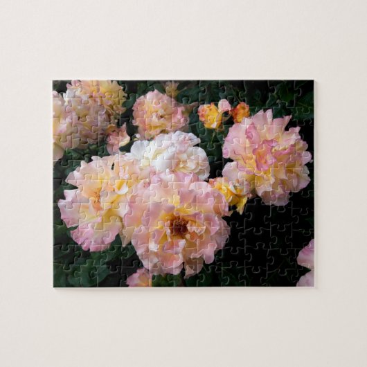 Rose Blume, rosa Gelbe Rosen Puzzle (Horizontal)