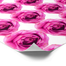 Rose Blume Rosa Poster