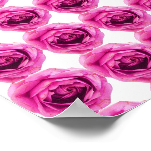 Rose Blume Rosa Poster (Ecke)