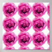 Rose Blume Rosa Poster (Vorne)