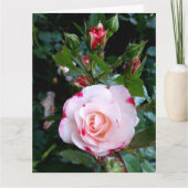 Rose Blume, Rosa Rosa Rose Karte (Vorderseite)