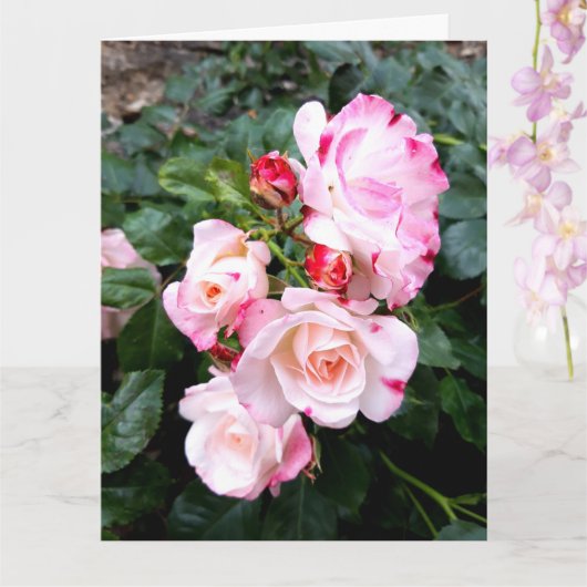 Rose Blume, Rosa Rosa Rose Karte (Orchidee)