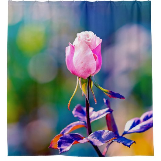 Rose Blume - Schönheit Duschvorhang (Vorderseite)