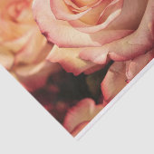 Rose-Blume Seidenpapier (Ausschnitt)