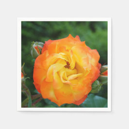 Rose Blume Standard Cocktail Napkin Serviette