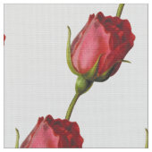 Rose Blume Stoff (Nahaufnahme)