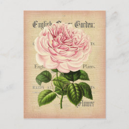 Rose Blume Vintage feminine florale Postkarte