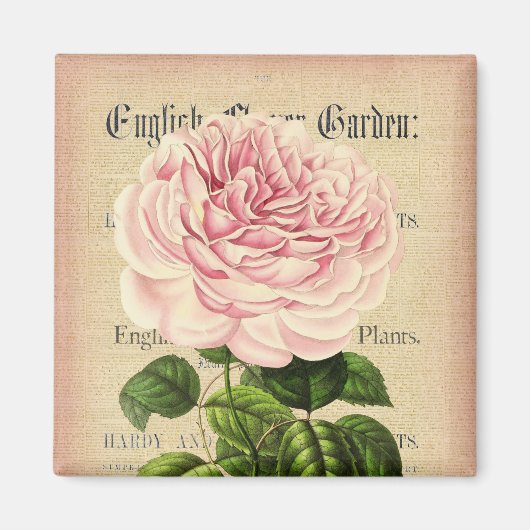 Rose Blume Vintager femininer Blumenmagnet Magnet (Vorne)