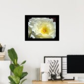 Rose Blume Weißgelbe Kunstdrucke Poster (Heimbüro)