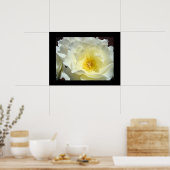Rose Blume Weißgelbe Kunstdrucke Poster (Küche)