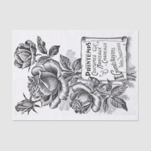 Rose-Blumen-Schriftrolle-Banner Französischer Text Seidenpapier