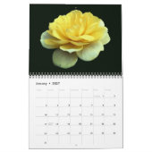 Rose Blumenfotografie Kalender (Jan 2027)