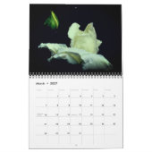 Rose Blumenfotografie Kalender (Mär 2027)