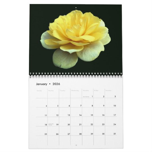Rose Blumenfotografie Kalender (Jan 2026)