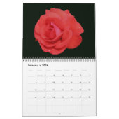 Rose Blumenfotografie Kalender (Feb 2026)